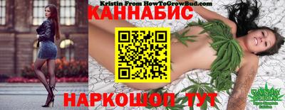 spice Обь