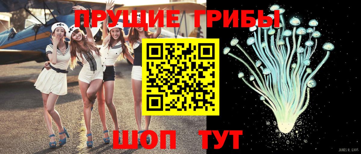 Галлюциногенные грибы ЛСД Торжок